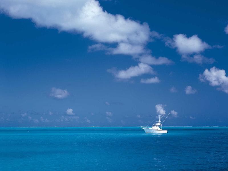 Dive Deep Expedition gallery 3